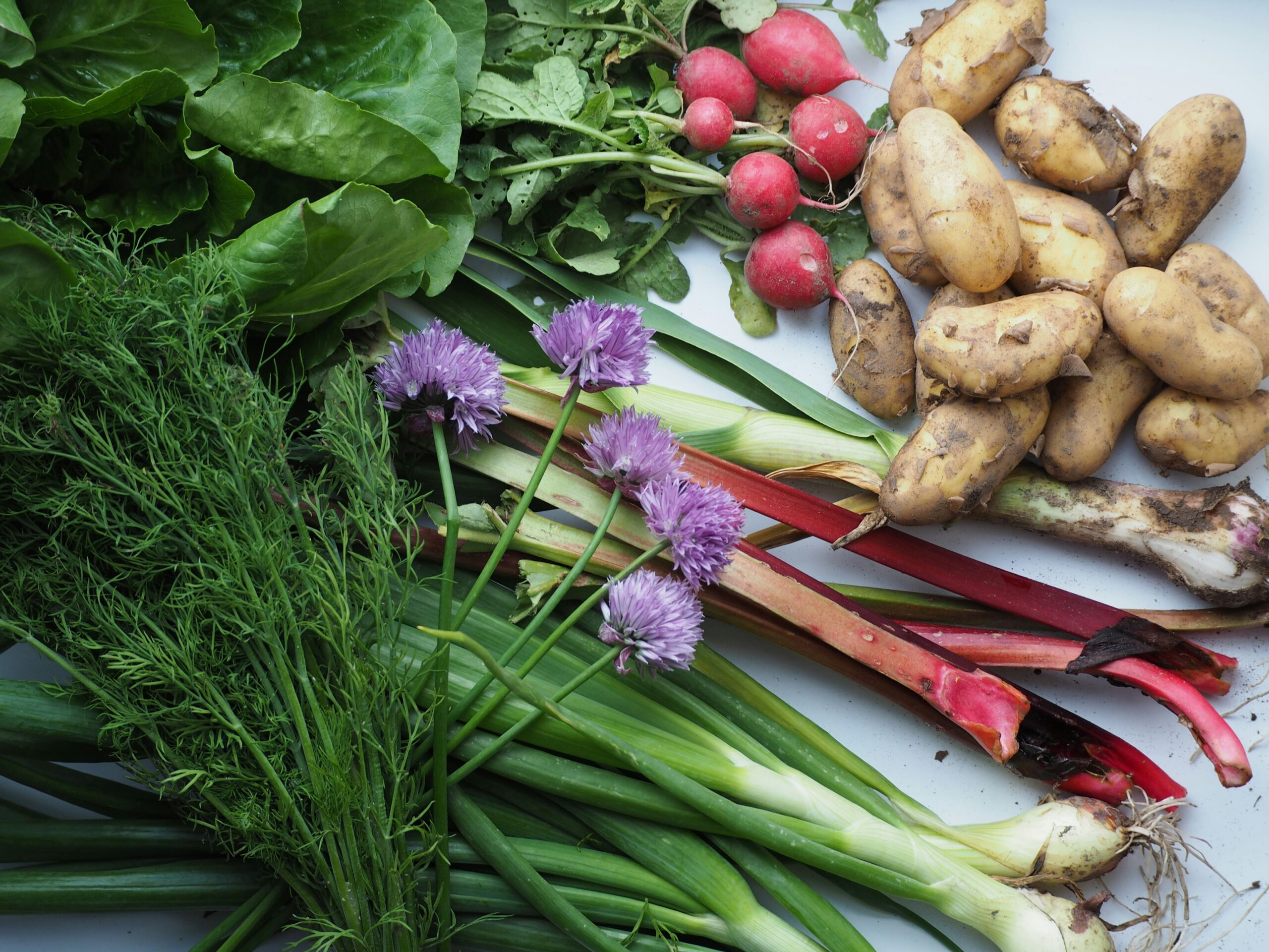 Anti-Inflammatory Meals: Simple Ingredients for Everyday Wellness