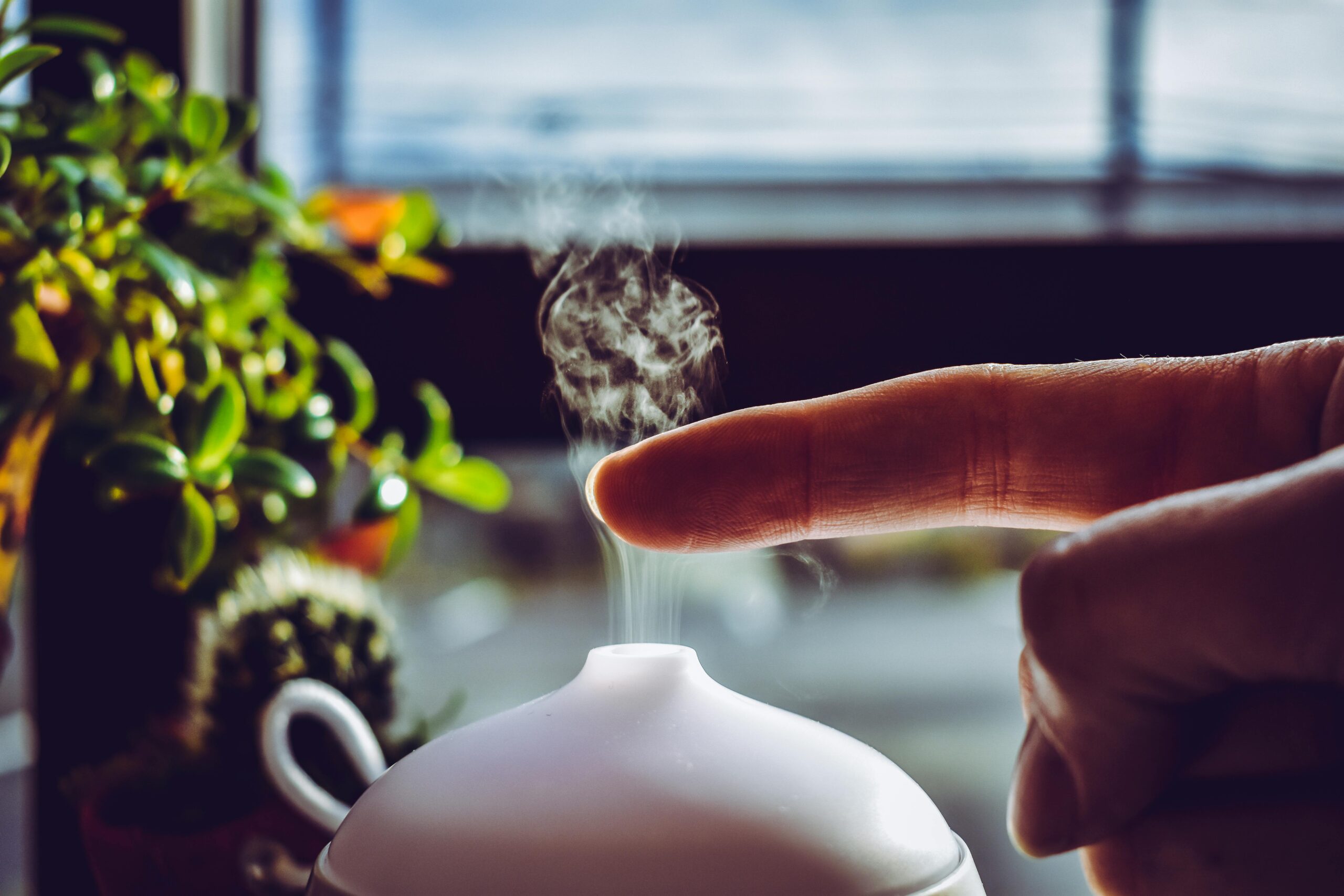 How Aromatherapy Works: The Science of Scent and Your Nervous System