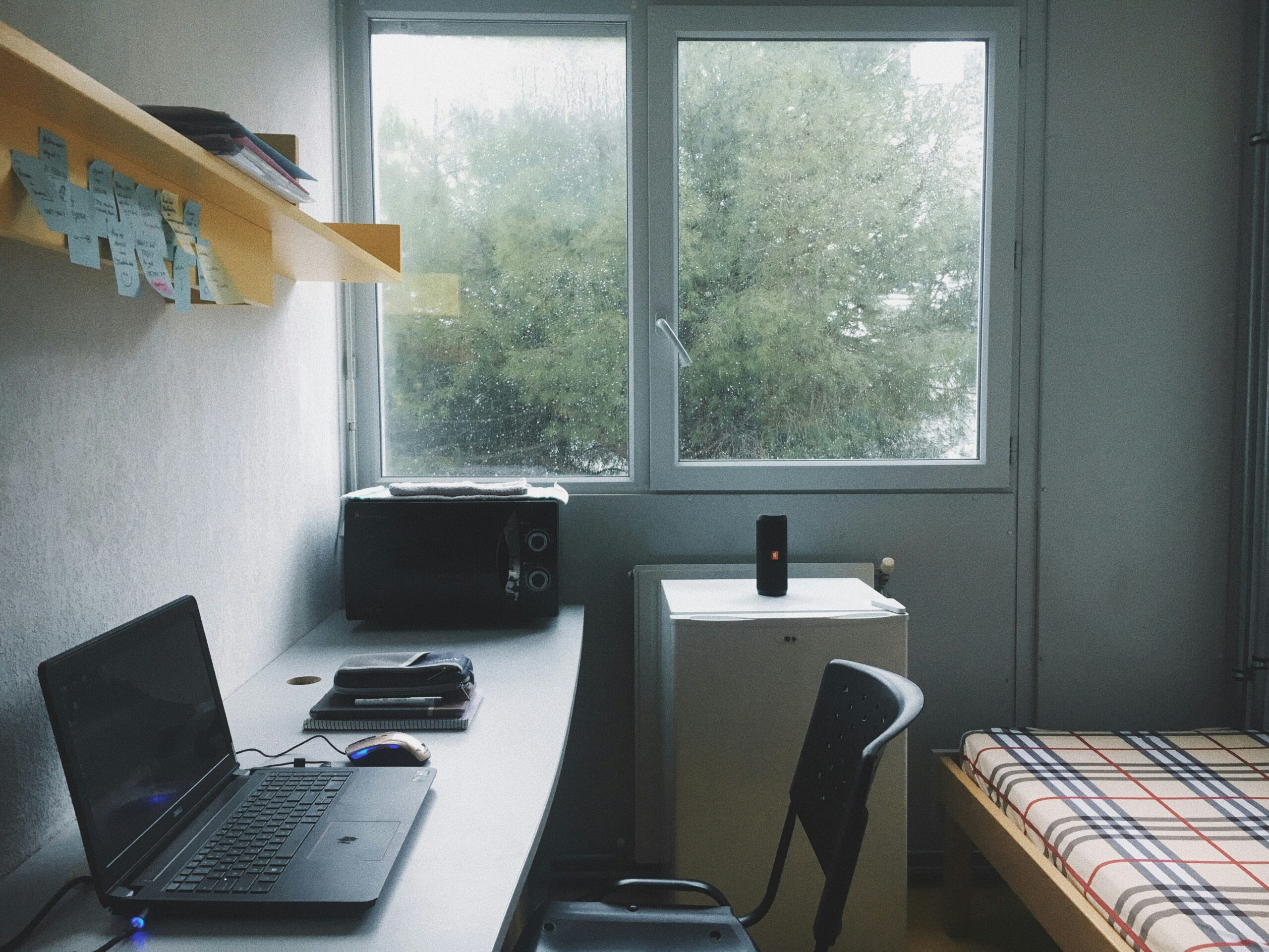 Dorm Room MasterChef: Healthy Air Fryer & Microwave Hacks for the Busy Student