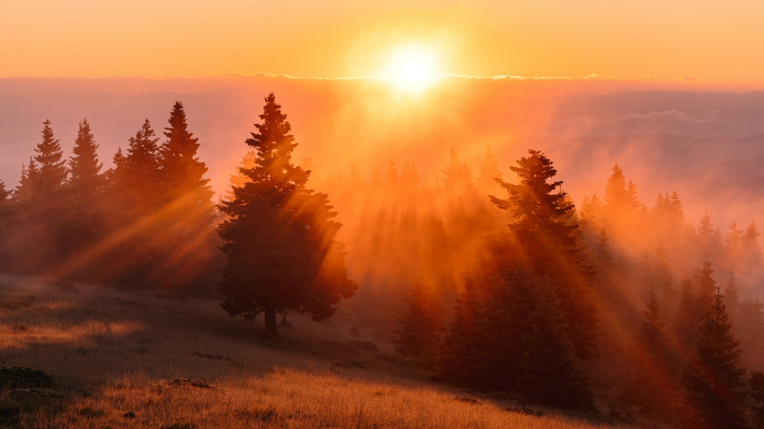 The Golden Hour: Architecting Your First Sixty Minutes for Cognitive and Metabolic Mastery