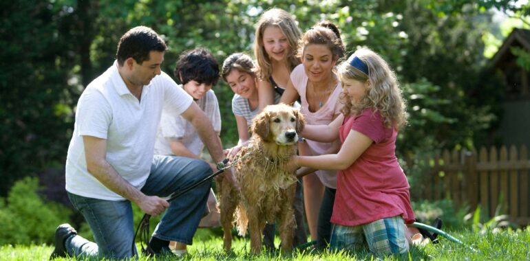 Texas Seniors: This 30-Second Quiz Reveals if Your Family is Protected From a $12,000 Bill