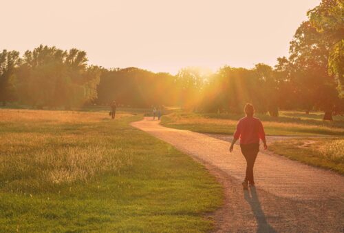 The Kinetic Think-Tank: Why "Movement-Generated" Clarity Beats the Desk-Bound Grind