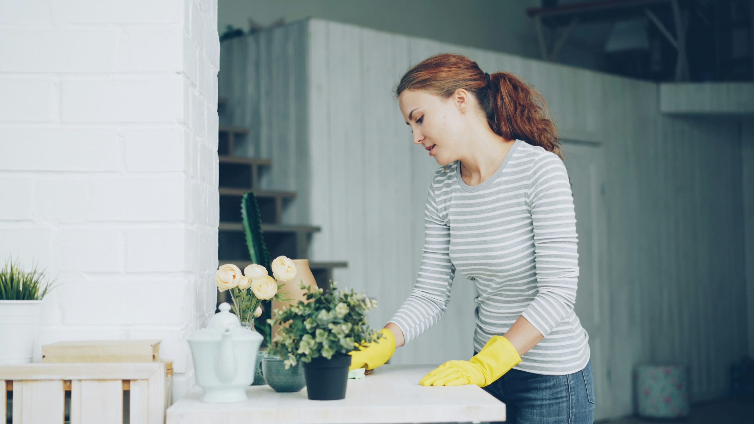 The Non-Toxic Reset: Why “Spring Cleaning” Should Start with Your Air Quality