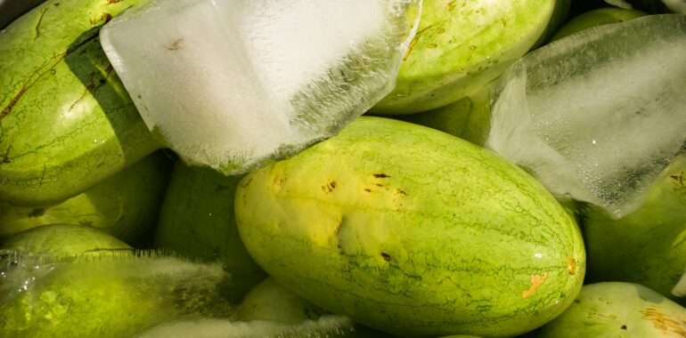 The Cryo-Botanical Reset: 10 Ice Extraction Rituals for Dermal Resilience