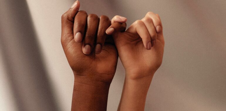 The Harmony Shift: Reclaiming Your Biological Resilience Through Daily Alignment