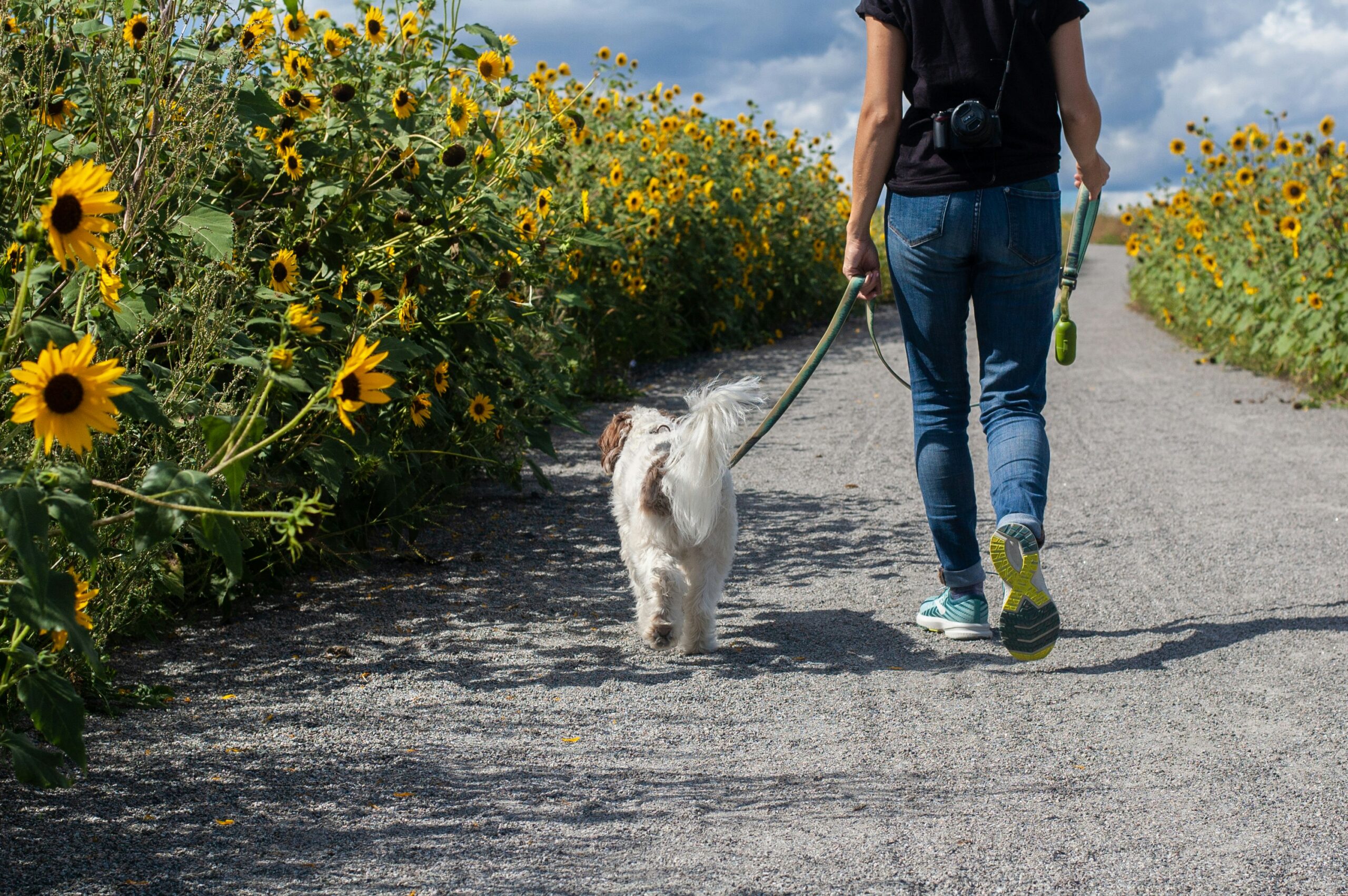 Step Into Vitality: Why Walking is the Ultimate Foundation for Every Fitness Journey
