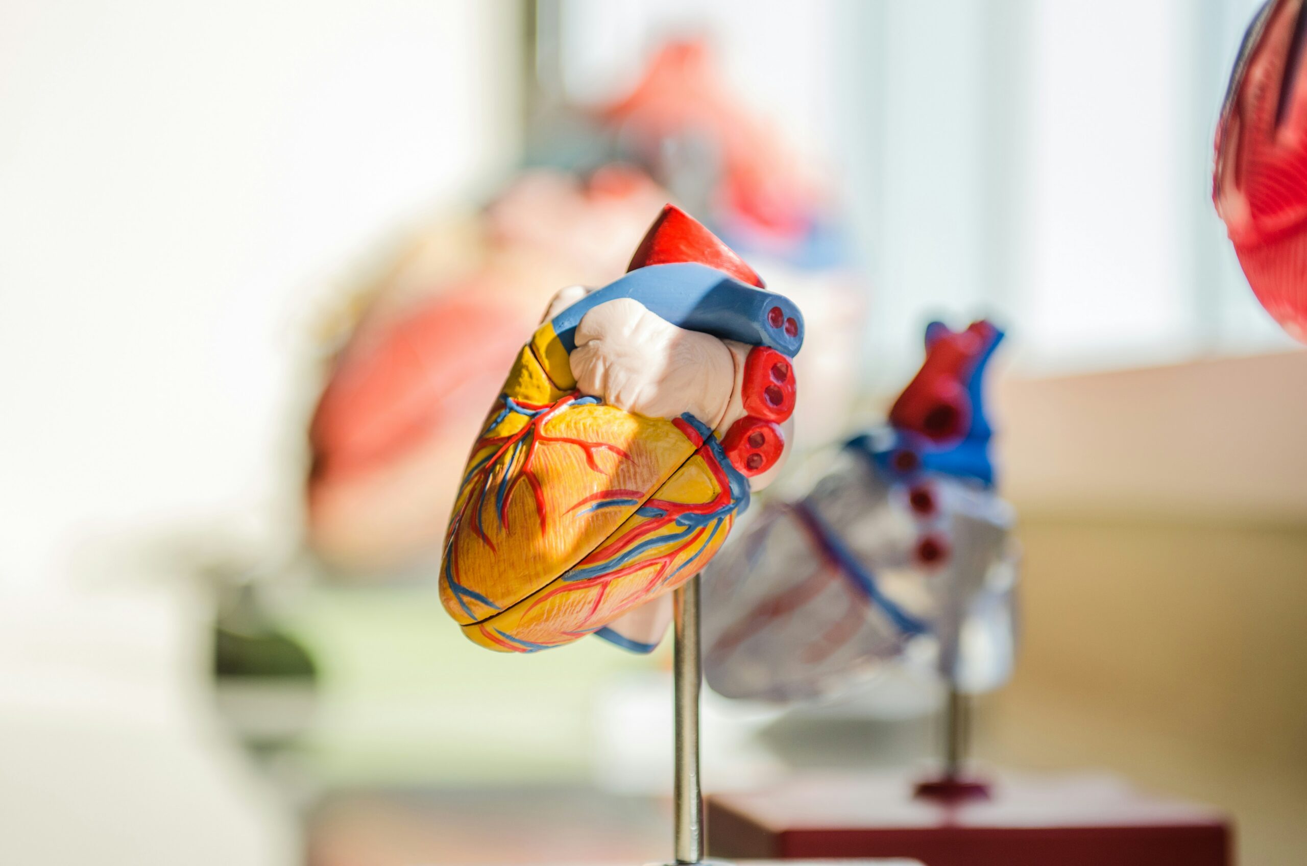 The Internal Sanctuary: The Science of Keeping Your Organs Functioning at 100%