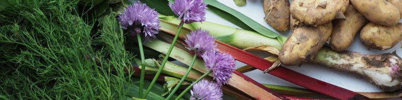 Anti-Inflammatory Meals: Simple Ingredients for Everyday Wellness