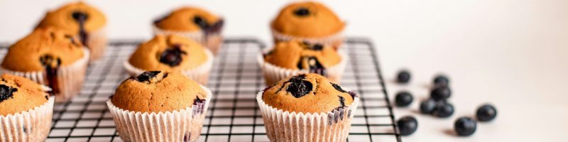 The Morning Variable: Engineering High-Protein Muffins for Sustained Performance