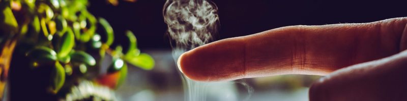 How Aromatherapy Works: The Science of Scent and Your Nervous System