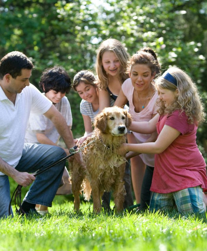 Texas Seniors: This 30-Second Quiz Reveals if Your Family is Protected From a $12,000 Bill