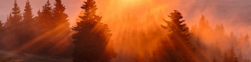 The Golden Hour: Architecting Your First Sixty Minutes for Cognitive and Metabolic Mastery
