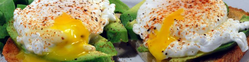 The Efficiency Engine: 3 Low-Carb Protocols to Stabilize Your Daily Performance