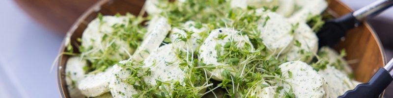 The Tangy Crunch Revolution: Crafting a High-Protein, Healthy Dill Pickle Pasta Salad