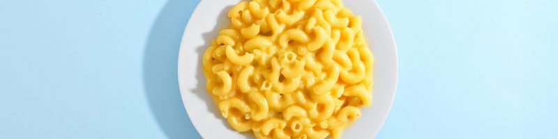 The “Stealth Health” Protocol: Deceptive Recipes for Picky Eaters