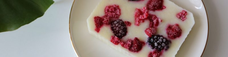 The Cryo-Freeze Canvas: 4 High-Protein Yogurt Bark Variations to Reset Your Snack Routine