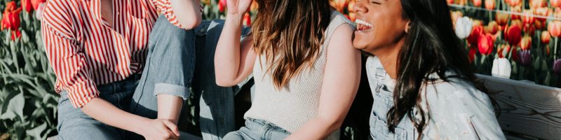 Hormones 101: How Estrogen, Progesterone, and Cortisol Interact