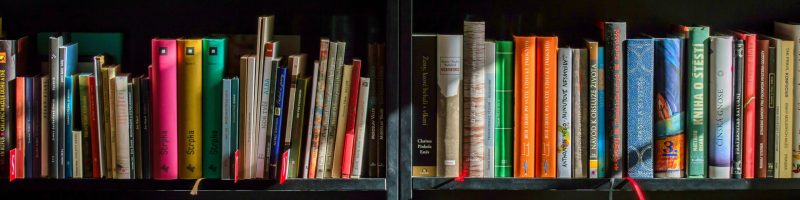 Nourishing the Mind Through Books: Building a Reading Practice for Mental Clarity