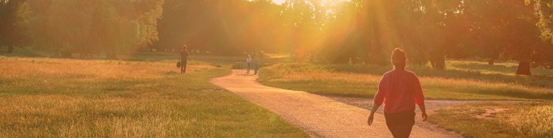 The Kinetic Think-Tank: Why "Movement-Generated" Clarity Beats the Desk-Bound Grind