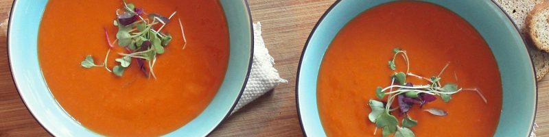 Healing Soups for Cold Weather: Nourishing Bowls to Warm the Body