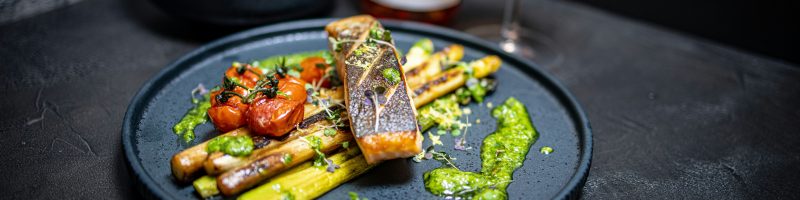 The Protein Protocol: 3 High-Density Dinners for Cellular Remodel