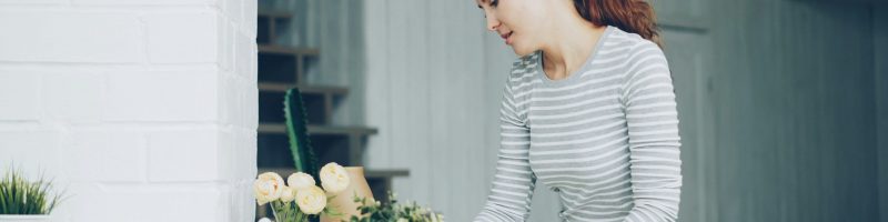 The Non-Toxic Reset: Why “Spring Cleaning” Should Start with Your Air Quality