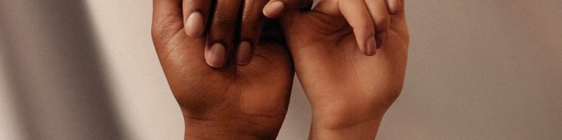 The Harmony Shift: Reclaiming Your Biological Resilience Through Daily Alignment