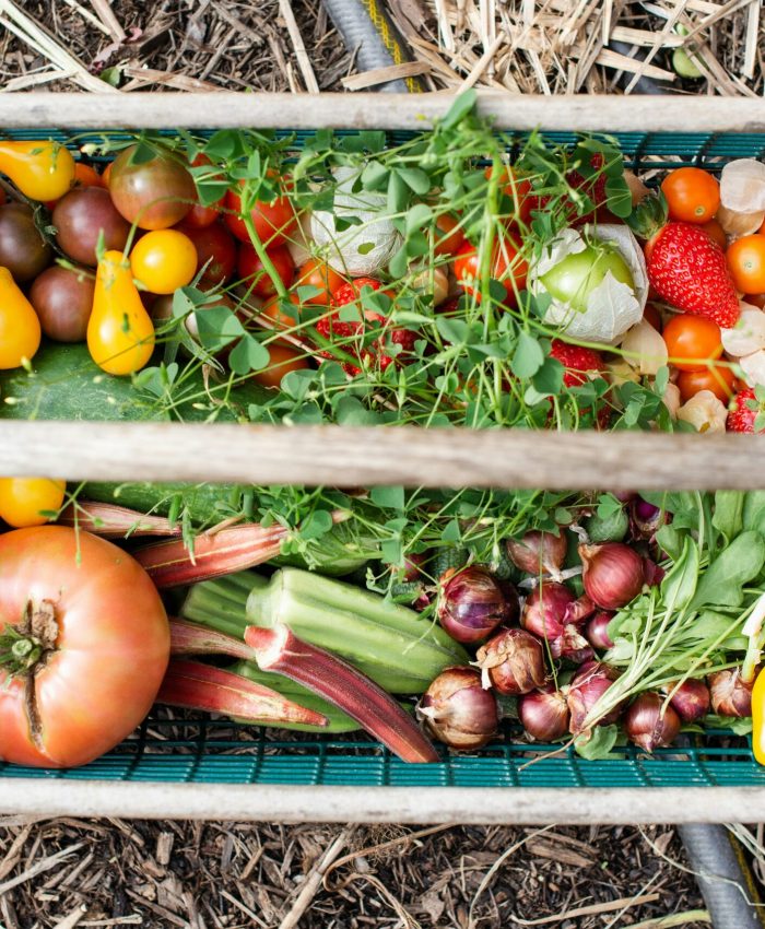 The February Harvest: Eating for Immunity and Vitality in the “Hidden” Season