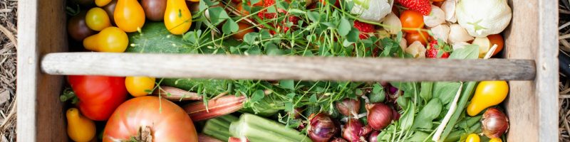 The February Harvest: Eating for Immunity and Vitality in the “Hidden” Season